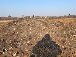 Cattle manure provided as preparation to fertilise the land.